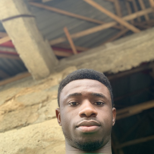Oyindamola O. profile photo