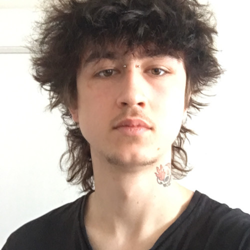 Daniel V. profile photo