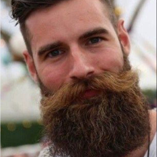 David H. profile photo