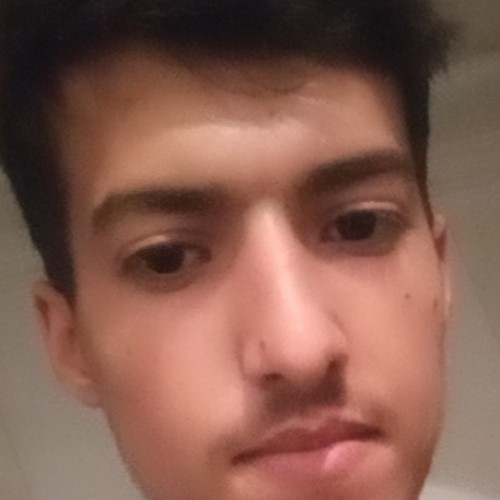 Azeddine  E. profile photo