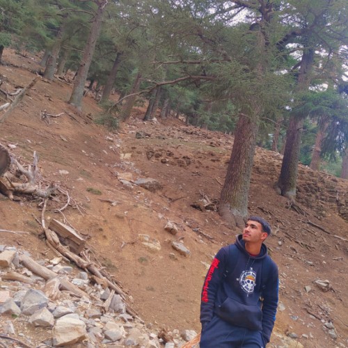 Sami D. profile photo