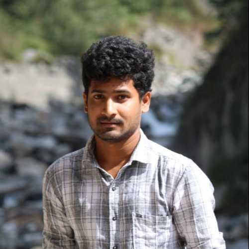 Vamsi Krishna P.