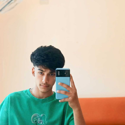 SaHiL N. profile photo