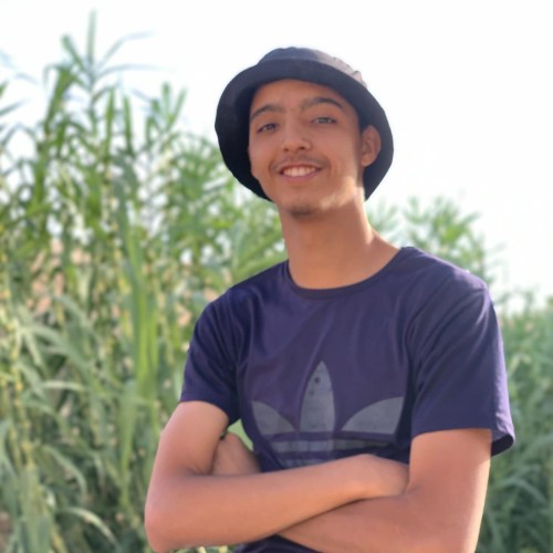 Mohamed A.