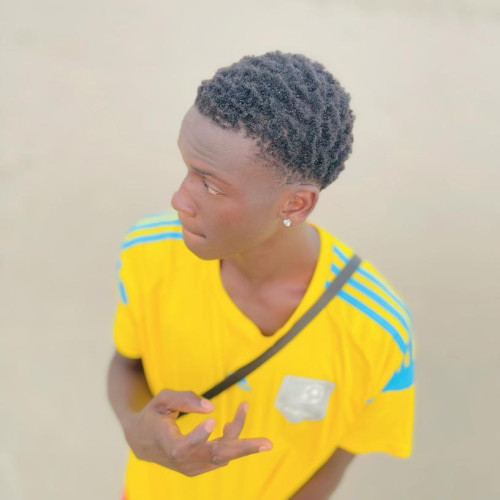Lilgambiadream  L. profile photo