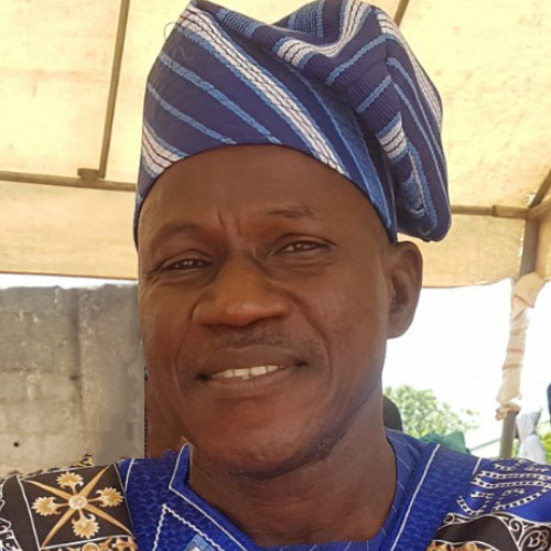 Olufunmilayo  O. profile photo