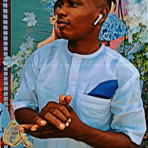 David N. profile photo