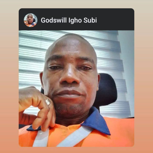 GODSWILL IGHOYINWIN S. profile photo