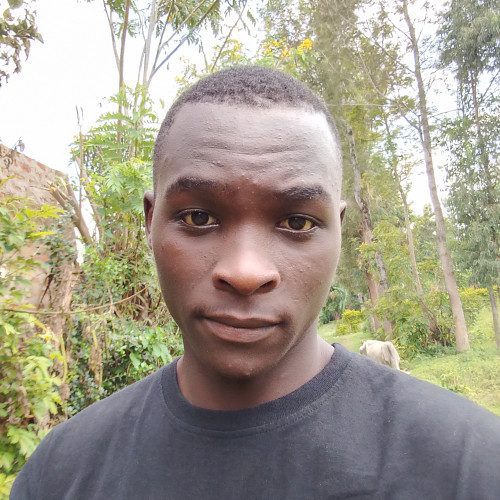 William T. profile photo