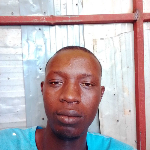 peter p. profile photo