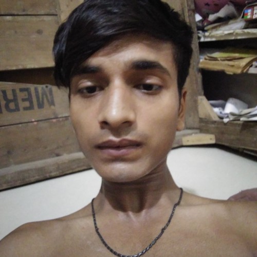 Ansh P.