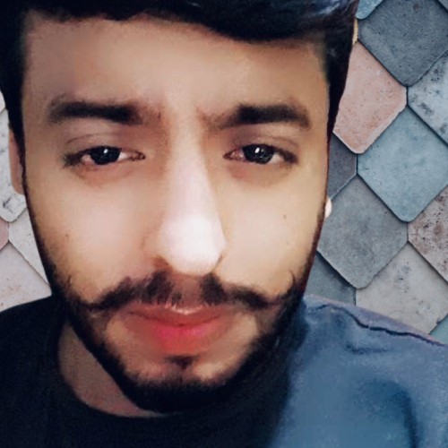 Avi  M. profile photo