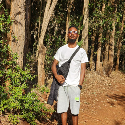 Nelson N. profile photo