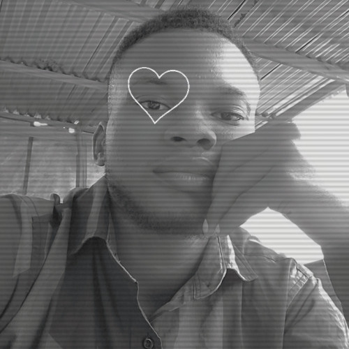 Oluwapelumi A. profile photo