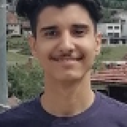 Ramzi A.