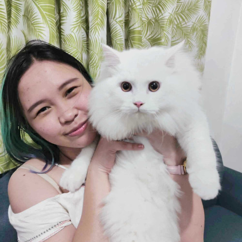 Katt T. profile photo