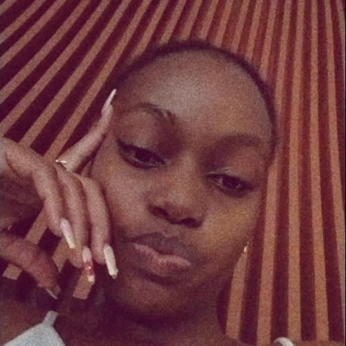 Shu T. profile photo