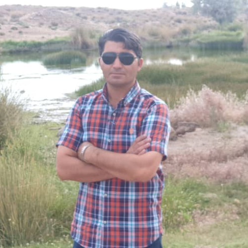 Hamid  P. profile photo