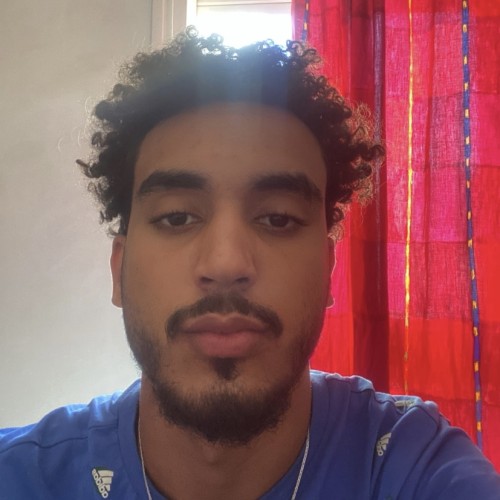 Hossam S.
