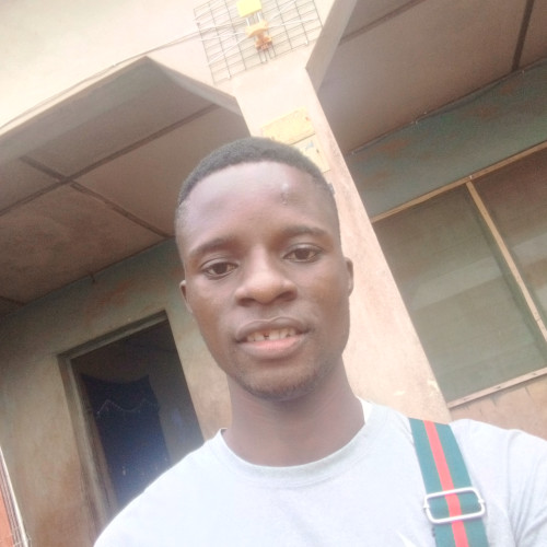 Olayinka A. profile photo