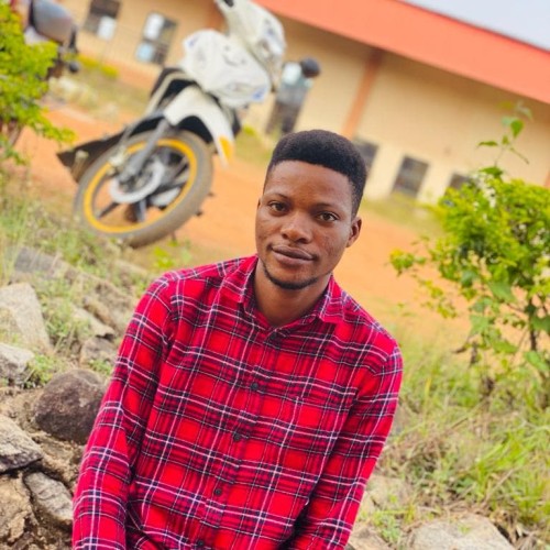 Olakunle  O. profile photo