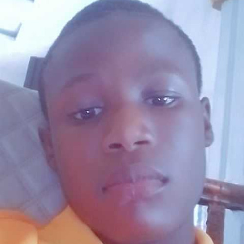 Gavin M.