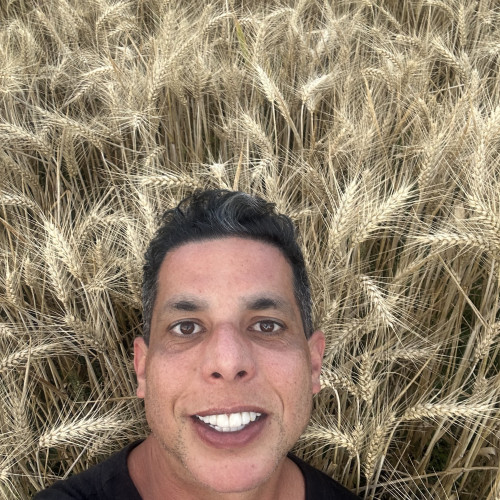 Rafael F. profile photo
