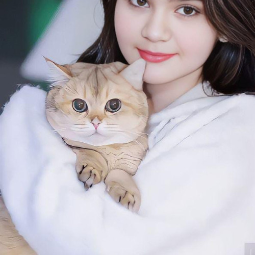 areesha h. profile photo