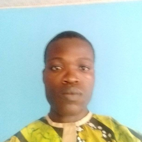 Oluwaseyi J. profile photo