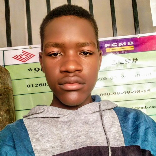 Salisu  A.