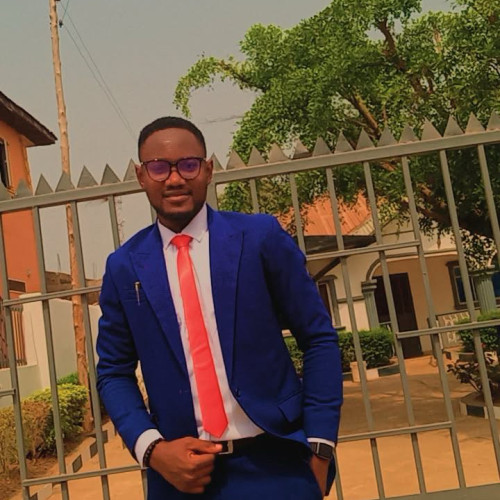 Damilola O. profile photo