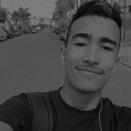 Elmostafa a. profile photo