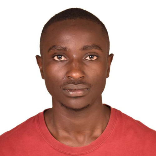 peter n. profile photo
