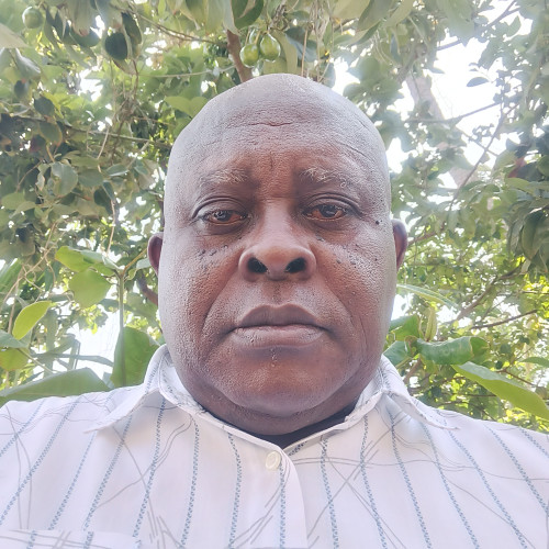 steven M. profile photo