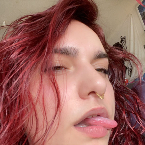 Willow L. profile photo