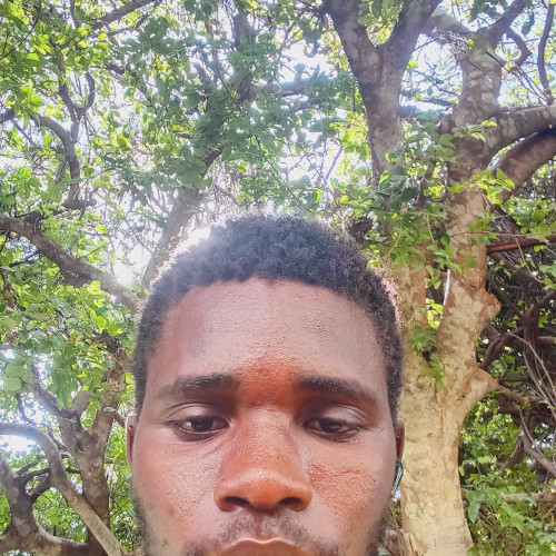 shukurani C. profile photo