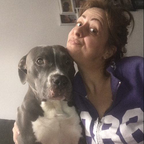 Marija S. profile photo