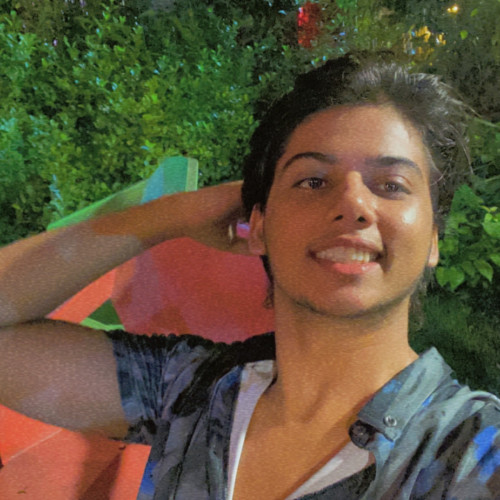 Ankit R.