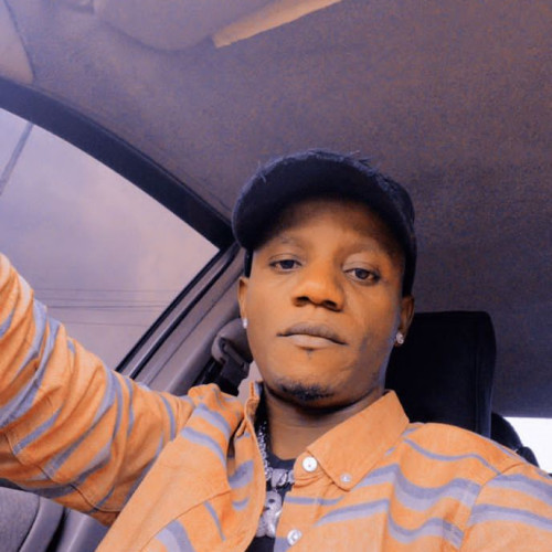 Cletus omoafeba  O.