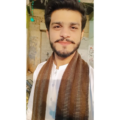 Hassnain  R.