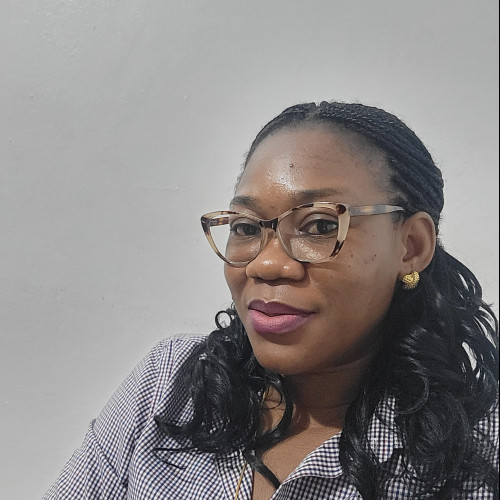 Olawunmi  O. profile photo