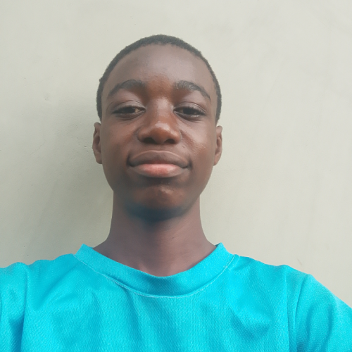 Bolaji A. profile photo