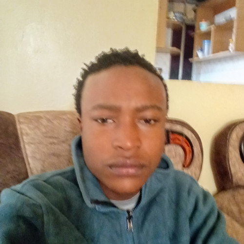 Addi T. profile photo
