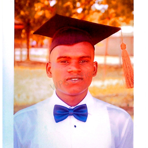 Ali A. profile photo