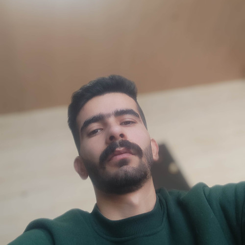 Hamed F.