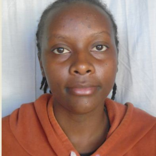 Monica M. profile photo