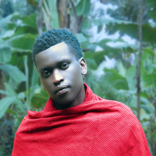 Gaudensi M. profile photo