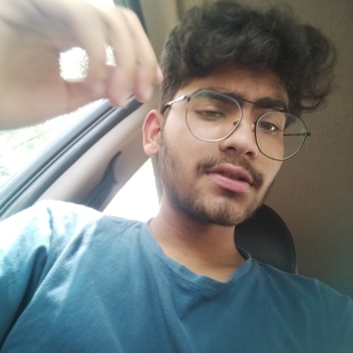 Anvesh P.
