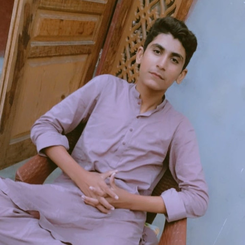 Zarri Q.