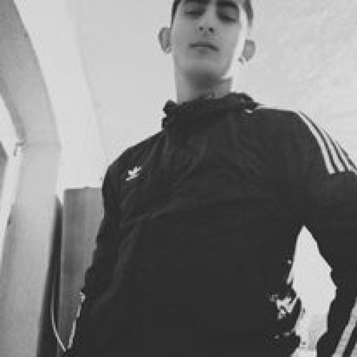 Zlatko P. profile photo